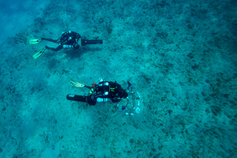 Crédit Olivier MORIN / AFP Crédit Olivier MORIN / AFP