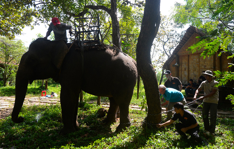 HOANG DINH NAM / AFP