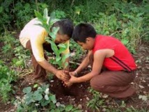 L'Amérique Latine s'engage à reboiser près de 20 millions d'hectares L'Amérique Latine s'engage à reboiser près de 20 millions d'hectares