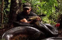 Avalé vivant, volontairement, par un anaconda