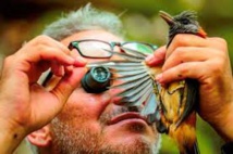 Biodiversité : le "Monde perdu" du Lengguru promet des dizaines de nouvelles espèces Biodiversité : le "Monde perdu" du Lengguru promet des dizaines de nouvelles espèces