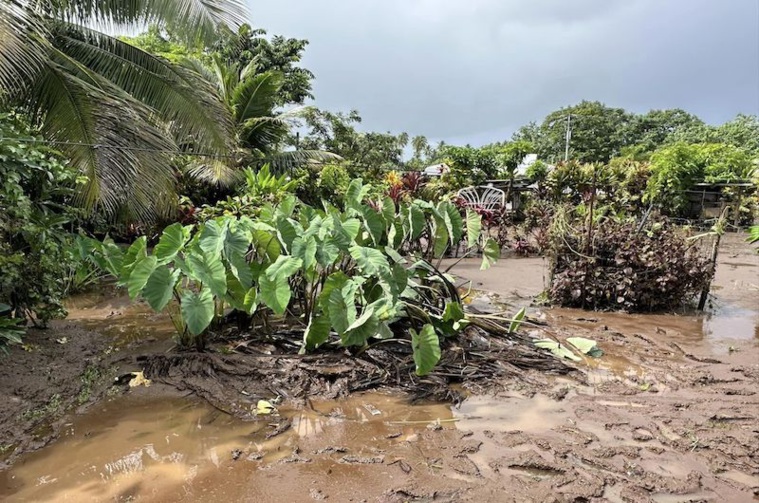 Les jardins dévastés des habitants de Teahupo'o. Crédit photo : FB Moetai Brotherson. Les jardins dévastés des habitants de Teahupo'o. Crédit photo : FB Moetai Brotherson.