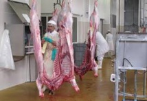 Risque de pénurie de viande locale début janvier avec la fermeture de l'abattoir Risque de pénurie de viande locale début janvier avec la fermeture de l'abattoir