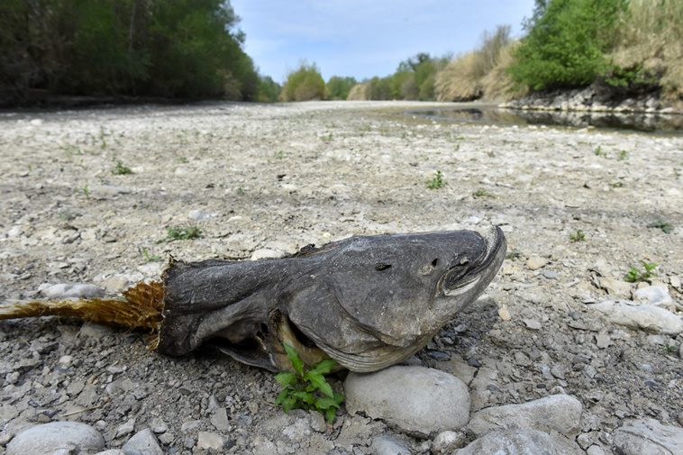 Crédit RAYMOND ROIG / AFP