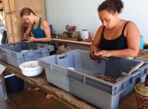 Margaux Crusot, la passion de l’océan Margaux Crusot, la passion de l’océan