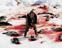 Chasse aux phoques: la Fondation Bardot satisfaite de l'arrêt des aides en Norvège