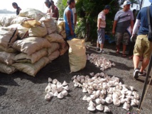 Prêts pour la pesée Prêts pour la pesée