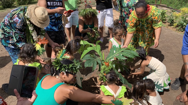 Le ‘uru, manger sain pour une bouchée de pain Le ‘uru, manger sain pour une bouchée de pain