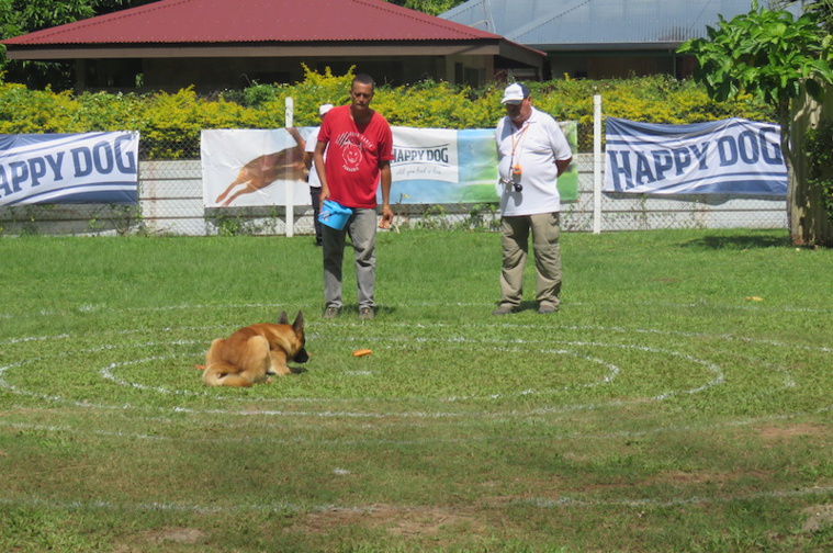 Concours canin : Chaulet et Champes en duel pour le ring Concours canin : Chaulet et Champes en duel pour le ring