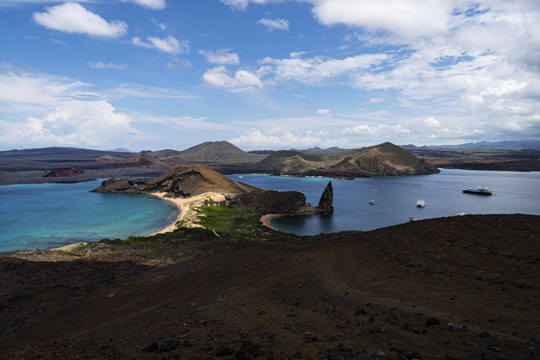 Carlos Espinosa / AFP Carlos Espinosa / AFP