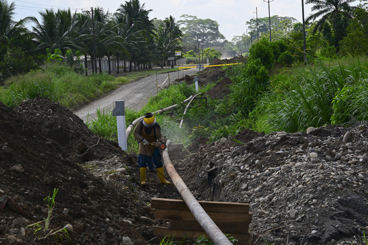Crédit Pedro PARDO / AFP Crédit Pedro PARDO / AFP