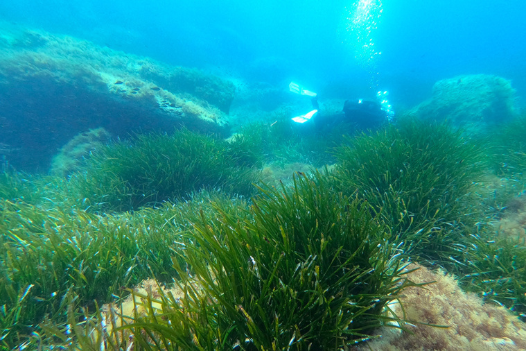 PASCAL POCHARD-CASABIANCA / AFP PASCAL POCHARD-CASABIANCA / AFP