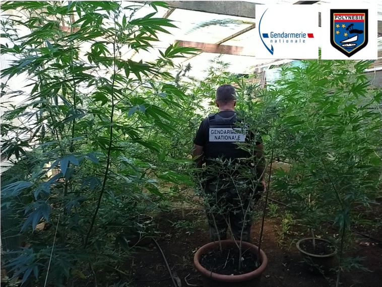 Photo : Gendarmerie Photo : Gendarmerie