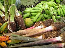 Un guichet unique pour les professionnels de l'agriculture