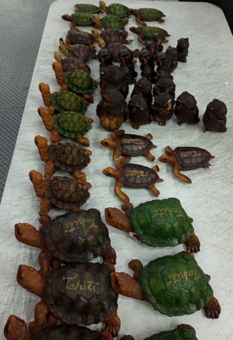 Photo : Guardia Nacional Photo : Guardia Nacional