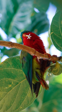 Matthieu Petit, amoureux de la nature Matthieu Petit, amoureux de la nature