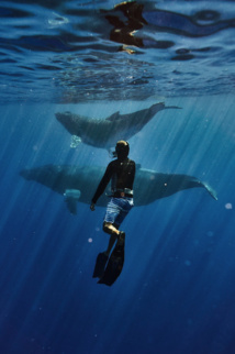 Matthieu Petit, amoureux de la nature Matthieu Petit, amoureux de la nature