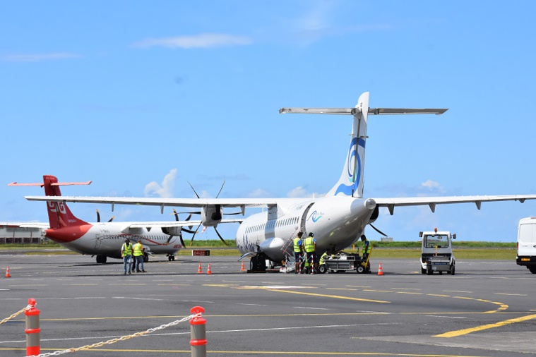 Crédit photo : Anne-Laure Guffroy. Crédit photo : Anne-Laure Guffroy.