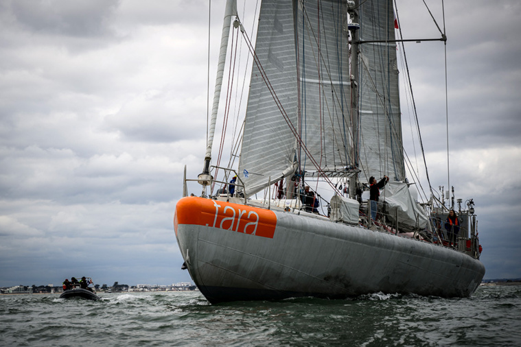 LOIC VENANCE / AFP LOIC VENANCE / AFP