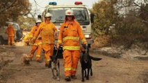 Feux de forêt en Australie: les pompiers dans une course contre la montre