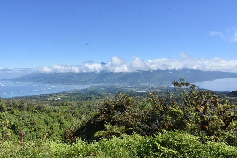 © Anne-Laure Guffroy © Anne-Laure Guffroy