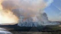 Australie: les feux de forêts ont lieu après une année historiquement chaude
