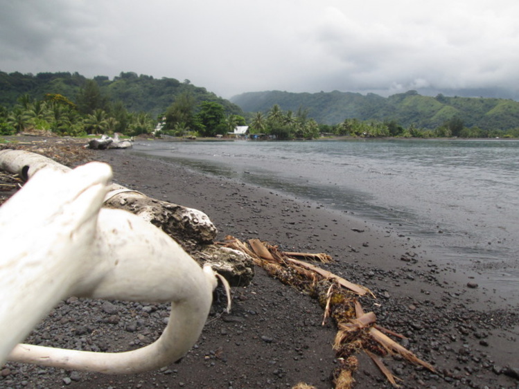 La plage de 'Oututa'ihia de Mataiea est désormais surveillée. La plage de 'Oututa'ihia de Mataiea est désormais surveillée.