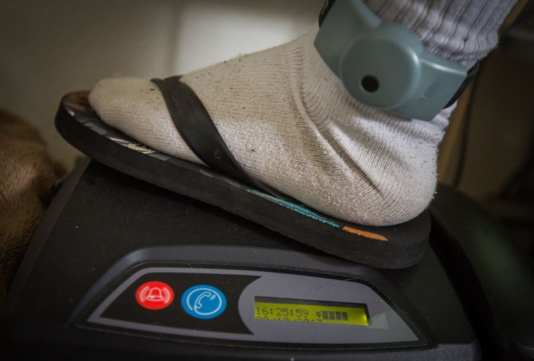 Le bracelet, facile à cacher sous un pantalon, peu seyant avec une petite robe. Le bracelet, facile à cacher sous un pantalon, peu seyant avec une petite robe.