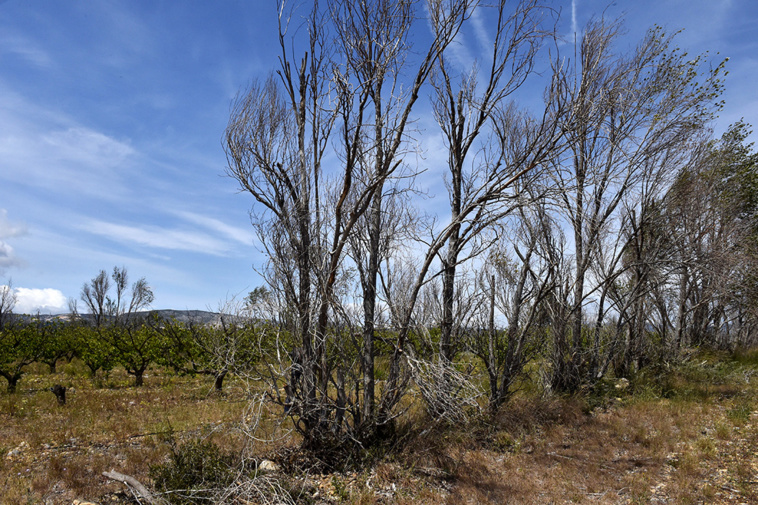 Crédit RAYMOND ROIG / AFP
