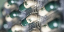 Brésil : accès facilité à un médicament dérivé de la marijuana Brésil : accès facilité à un médicament dérivé de la marijuana