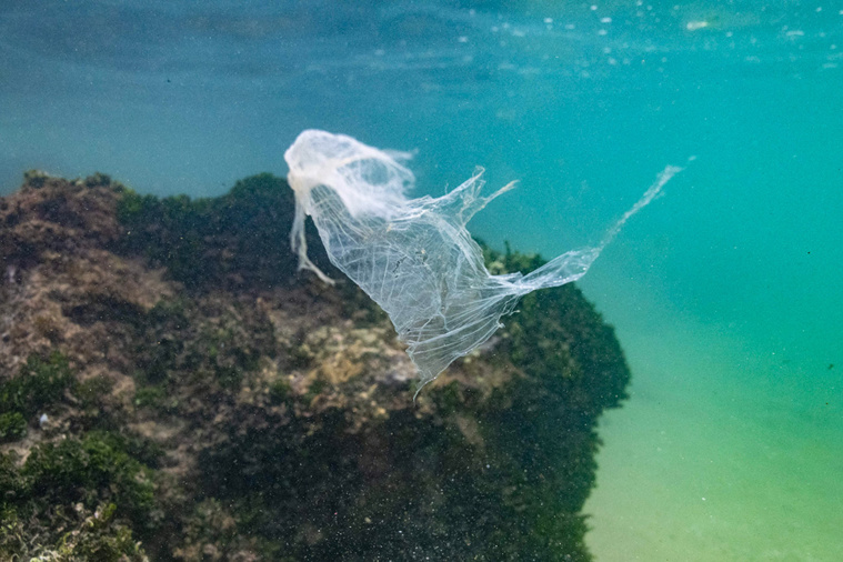 Crédit Olivier MORIN / AFP