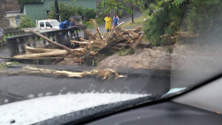 Photo de Bunkley Laure, avec cette explication : "Pirae Hamuta ce matin 8:00. Mais les agents de la mairie ont tout dégagé. Ouf..." Photo de Bunkley Laure, avec cette explication : "Pirae Hamuta ce matin 8:00. Mais les agents de la mairie ont tout dégagé. Ouf..."