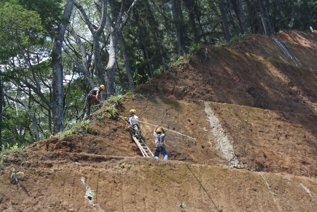 L'emploi salarié en hausse en novembre