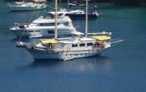 Le Sénat vote une redevance de mouillage dans les zones marines protégées Le Sénat vote une redevance de mouillage dans les zones marines protégées