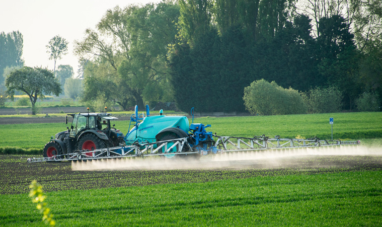 Crédit DENIS CHARLET / AFP Crédit DENIS CHARLET / AFP