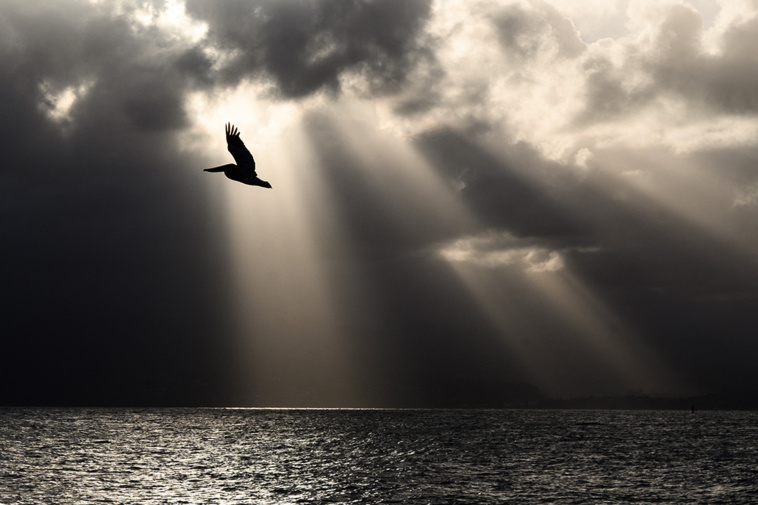 Guadeloupe: une commune reconnue par l'Unesco pour sa préparation au risque tsunami Guadeloupe: une commune reconnue par l'Unesco pour sa préparation au risque tsunami