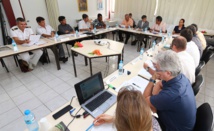 Comité de pilotage sur les ressources minérales subaquatiques en Polynésie française