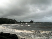 "Risque très important d'épidémie de leptospirose" "Risque très important d'épidémie de leptospirose"