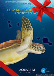 Te Mana o te Moana réédite en tahitien son livret sur les tortues marines