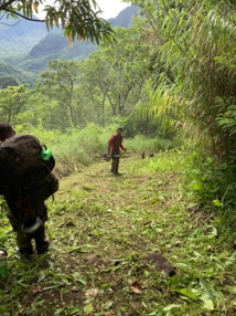 La fête de l’orange décalée La fête de l’orange décalée