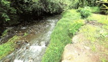 La rivière Vaitehoro de Pueu.