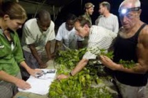 Biodiversité: prochaine expédition scientifique dans le sud de la Guyane