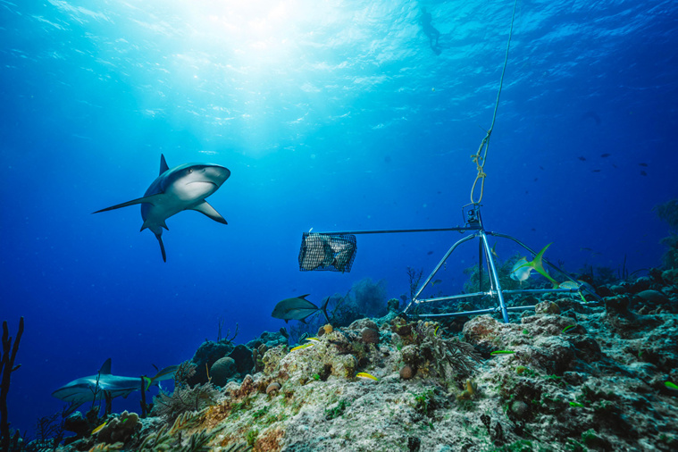 Andy MANN / GLOBAL FINPRINT / AFP Andy MANN / GLOBAL FINPRINT / AFP