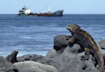Equateur : nouvelles menaces de pollution aux Galapagos