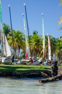 Saga : Doudou de Saint-Cyr passe la main Saga : Doudou de Saint-Cyr passe la main