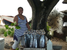 Une étude révèle les bienfaits du thon pour la santé des populations océaniennes Une étude révèle les bienfaits du thon pour la santé des populations océaniennes