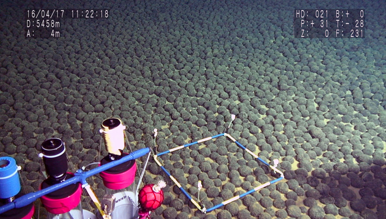 Crédit HO / JAMSTEC / AFP Crédit HO / JAMSTEC / AFP