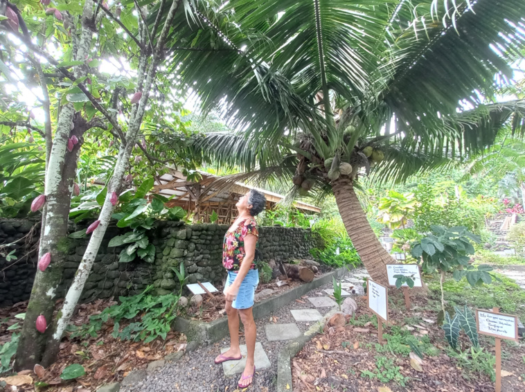 La pépinière Gooding sortie de l’ombre La pépinière Gooding sortie de l’ombre