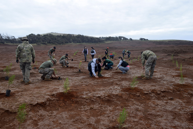 Crédit Handout / CONAF / AFP Crédit Handout / CONAF / AFP
