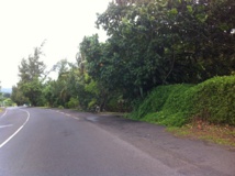L'adolescente a été retrouvée sur cette route entre Toahotu et Vairao. L'adolescente a été retrouvée sur cette route entre Toahotu et Vairao.